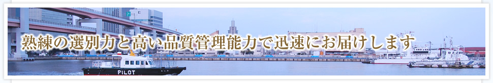 熟練の選別力と高い品質管理能力で迅速にお届けします